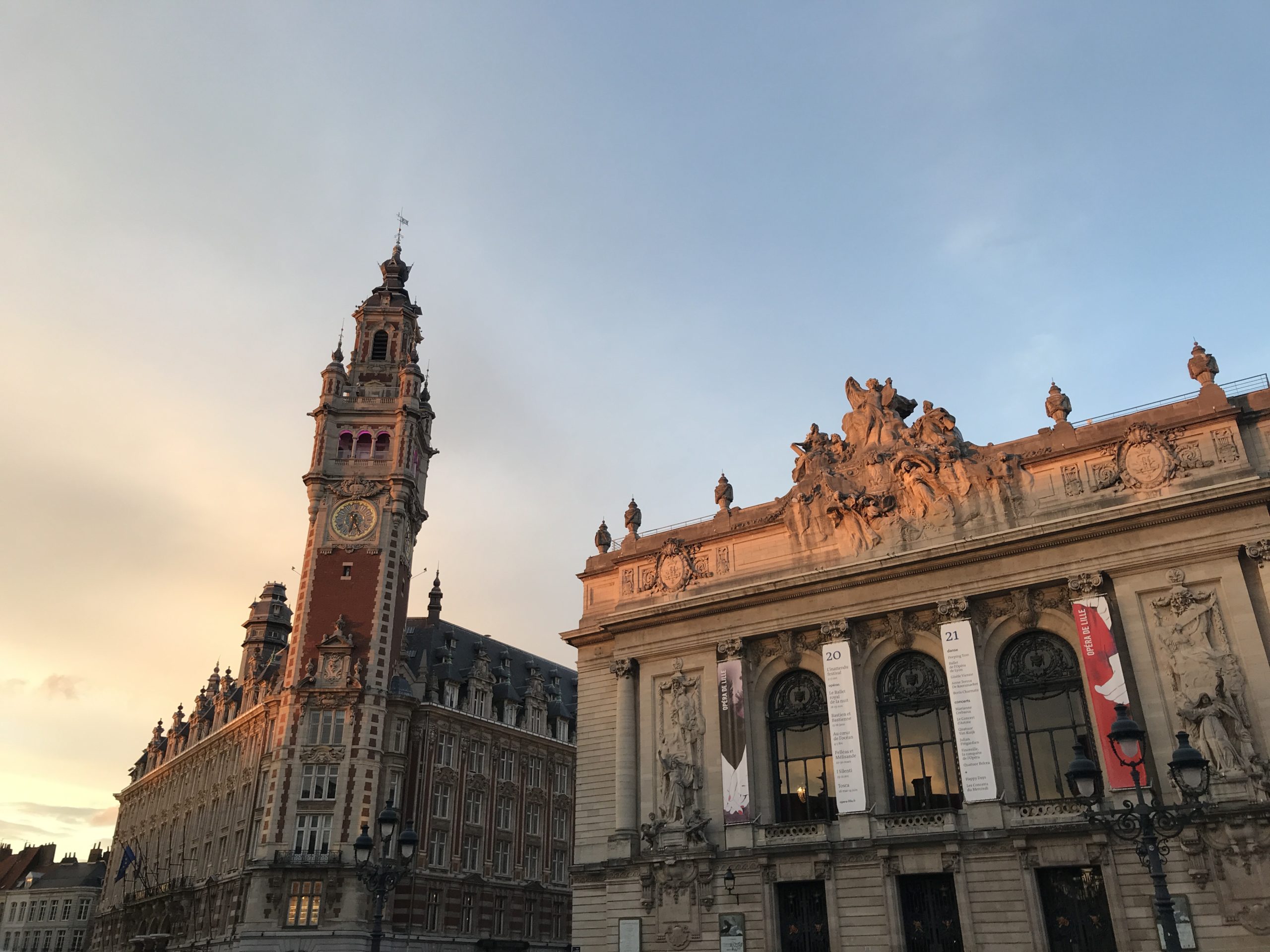 service- entreprise organisme public